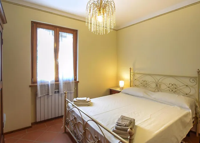 Pet Friendly In Monte San Savino