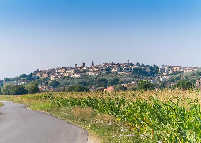 Pet Friendly In * Monte San Savino